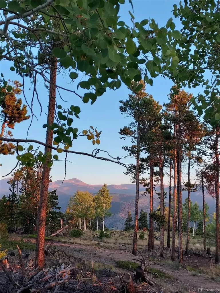 000 Frank C Idaho Springs CO 80452