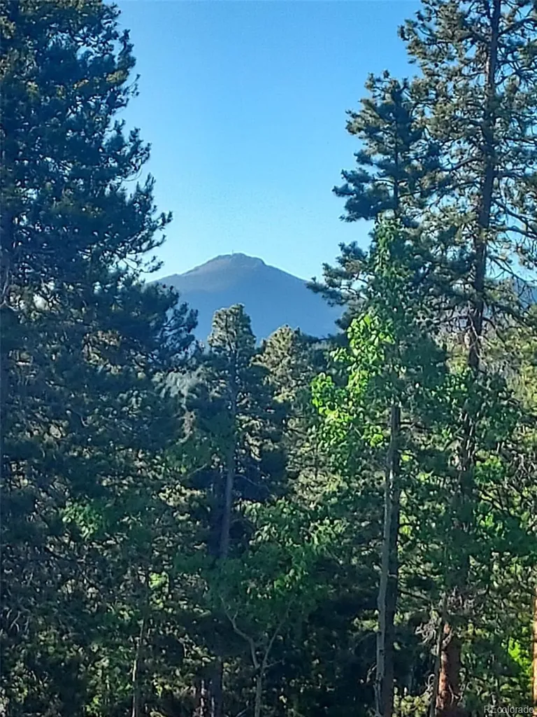 000 Frank C Idaho Springs CO 80452