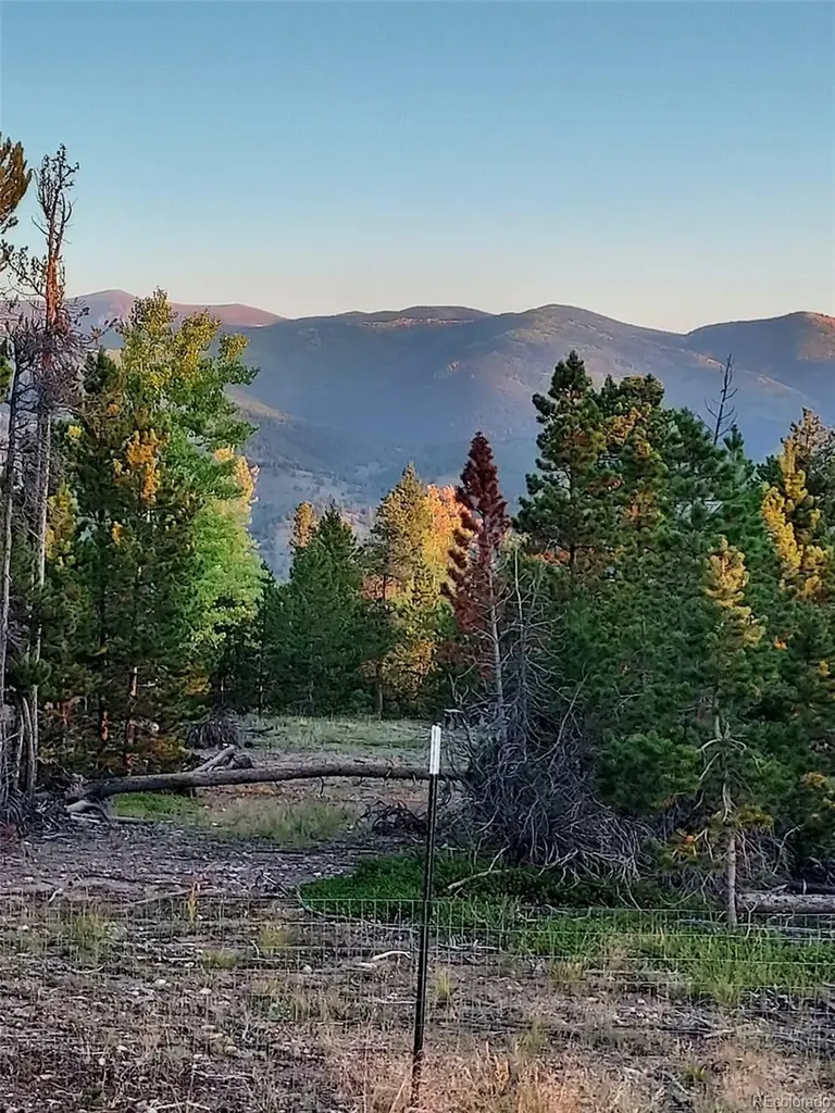 000 Frank C Idaho Springs CO 80452