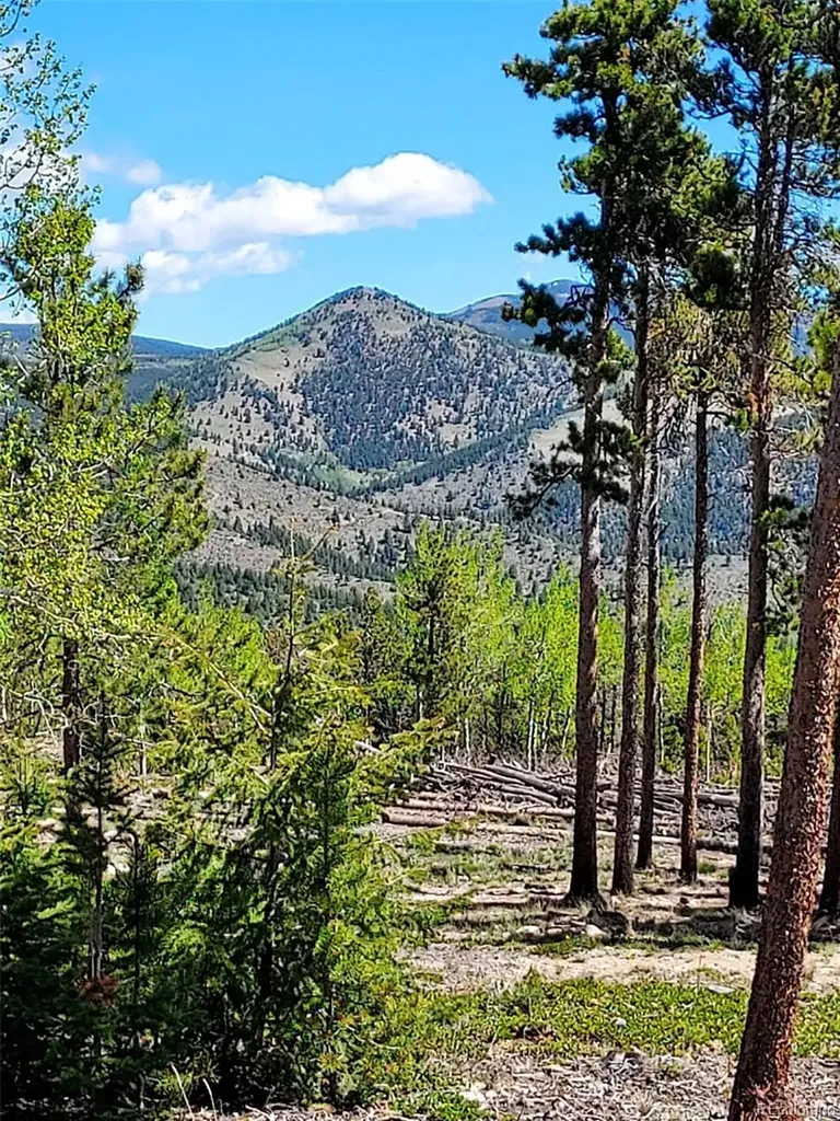 000 Frank C Idaho Springs CO 80452