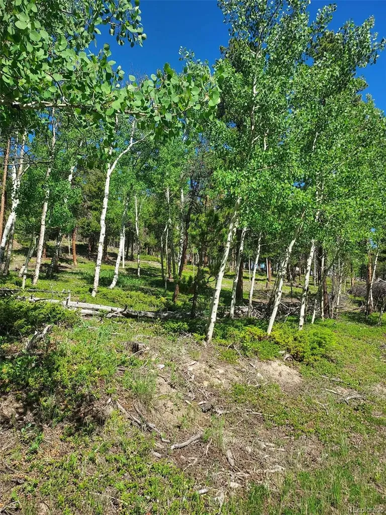 000 Frank C Idaho Springs CO 80452