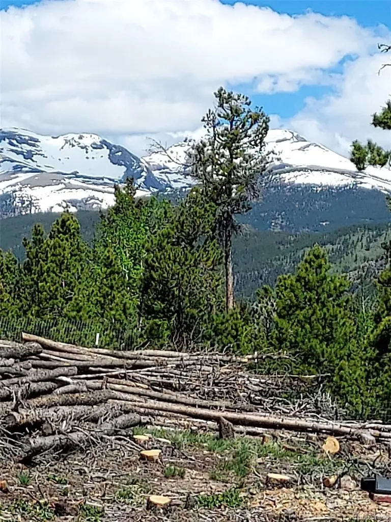 000 Frank C Idaho Springs CO 80452