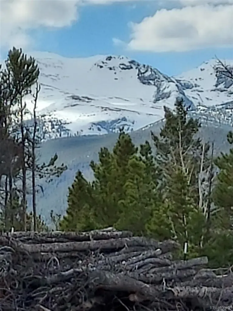 000 Frank C Idaho Springs CO 80452