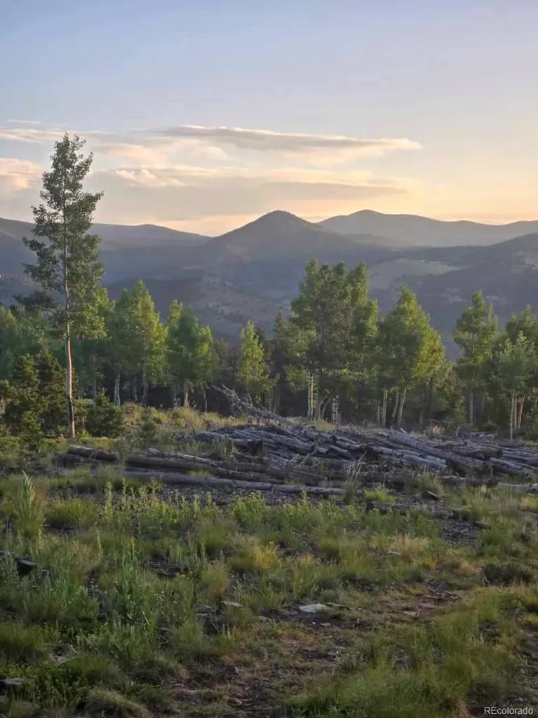000 Frank C Idaho Springs CO 80452