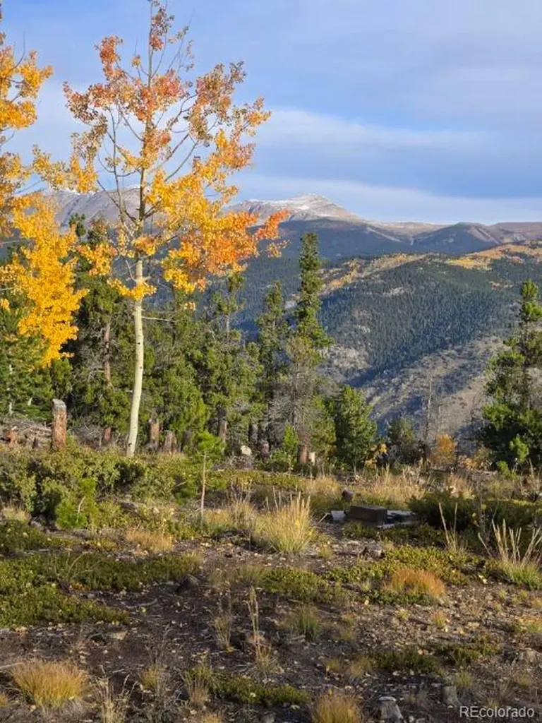 000 Frank C Idaho Springs CO 80452
