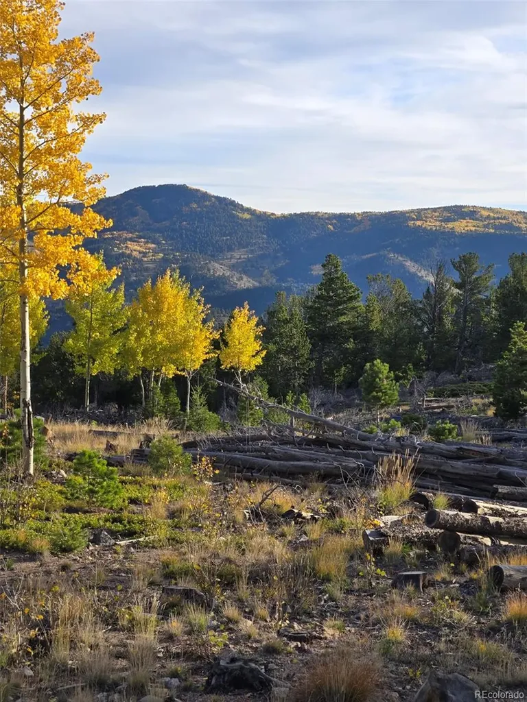 000 Frank C Idaho Springs CO 80452