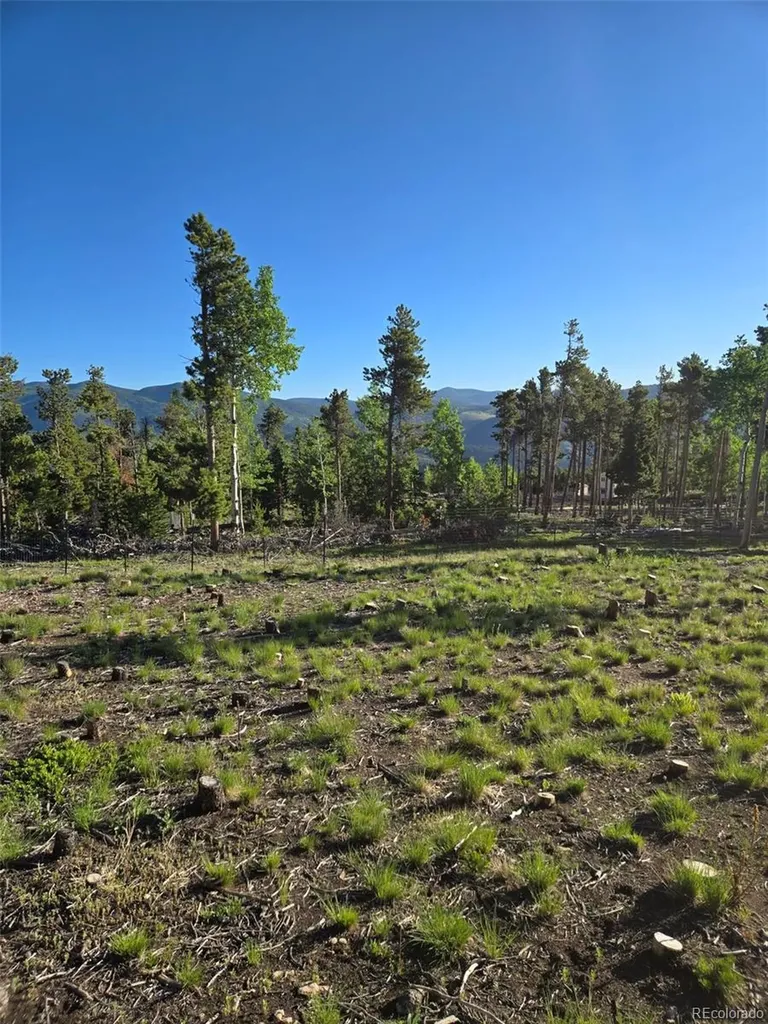 000 Frank C Idaho Springs CO 80452