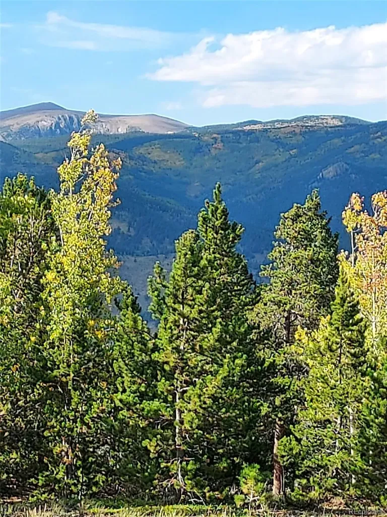 000 Frank C Idaho Springs CO 80452