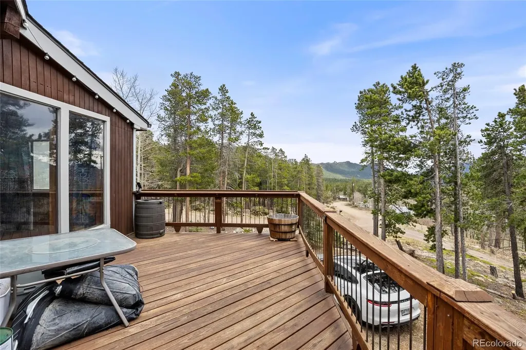 163 Beethoven Drive Black Hawk CO 80422