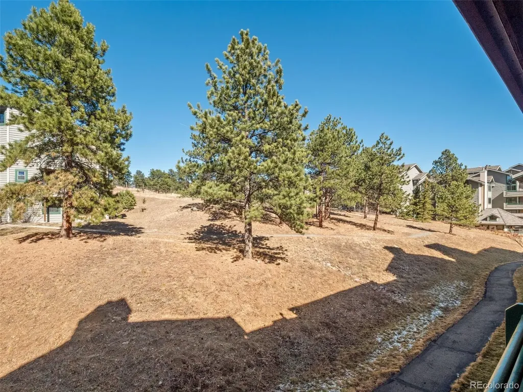 31819 Rocky Village Drive Evergreen CO 80439