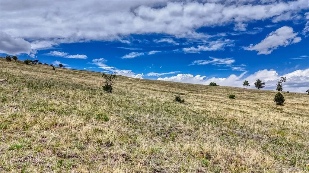 L37-40 S A Street Cripple Creek CO 80813