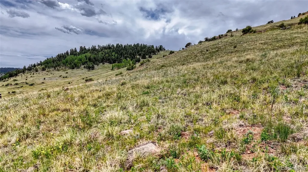 L37-40 S A Street Cripple Creek CO 80813