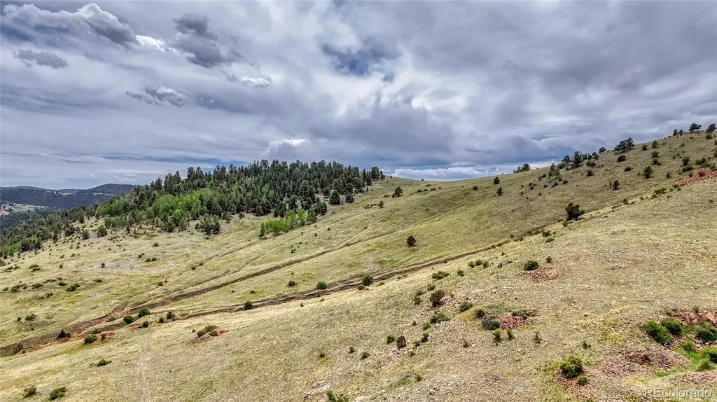 L37-40 S A Street Cripple Creek CO 80813