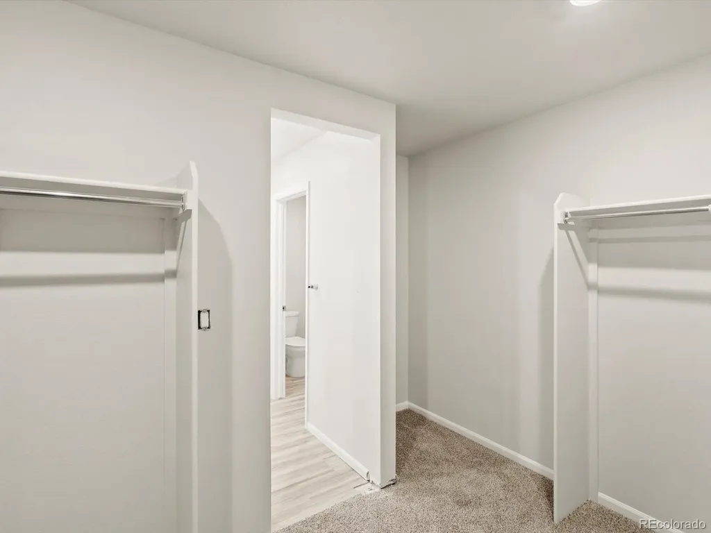1601 Colorado River Drive Windsor CO 80550