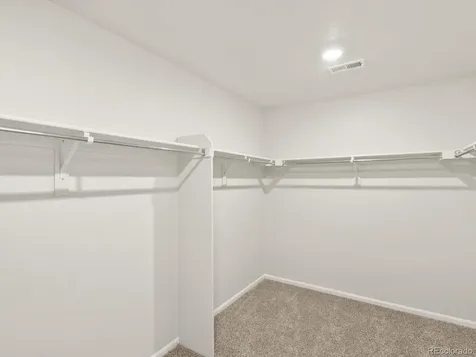 1601 Colorado River Drive Windsor CO 80550