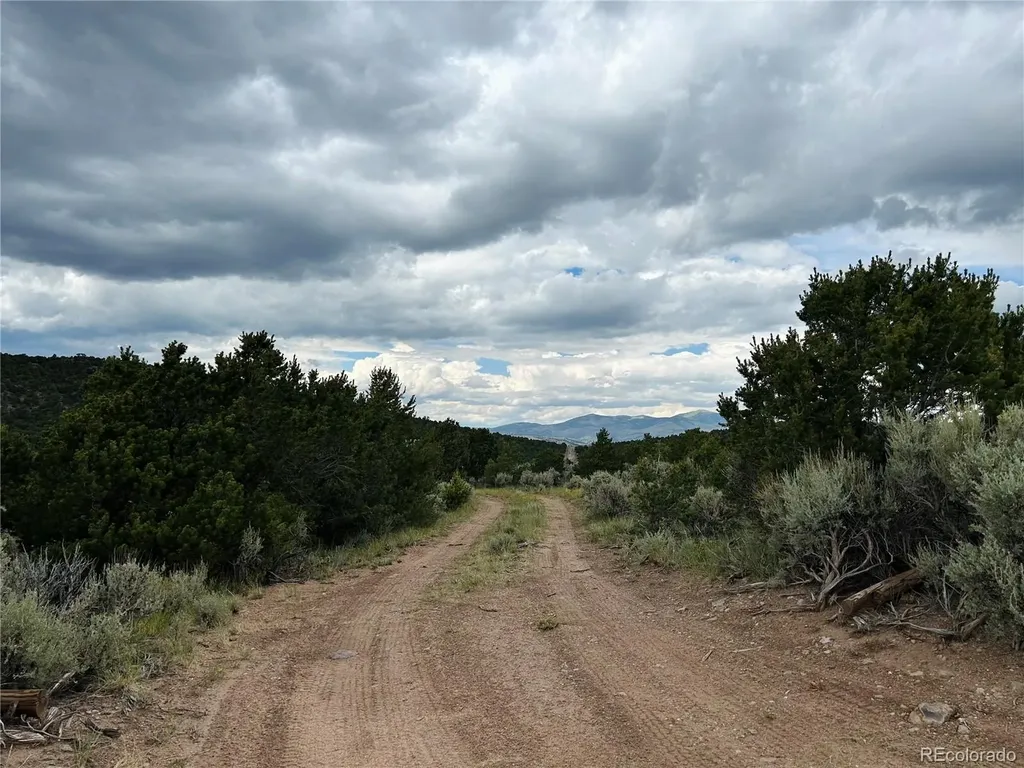 4535 Sarnoff Road Fort Garland CO 81133