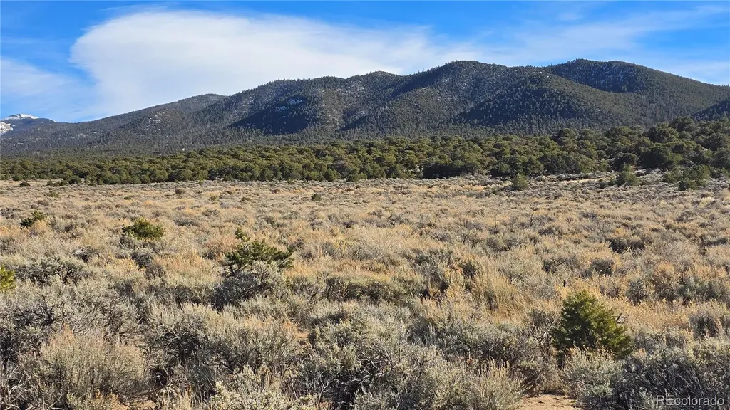 Lot 1075 Sylvia Road Fort Garland CO 81133