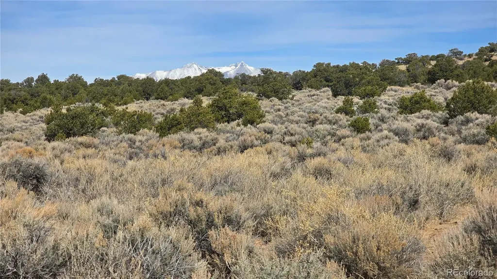 Lot 1075 Sylvia Road Fort Garland CO 81133