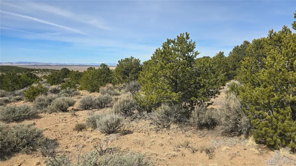 Lot 1075 Sylvia Road Fort Garland CO 81133