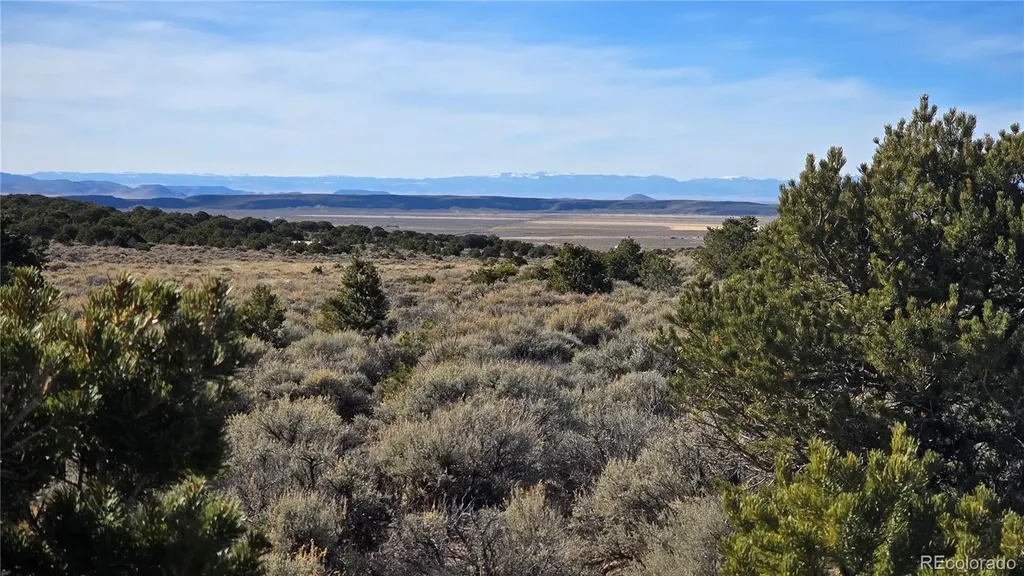 Lot 1075 Sylvia Road Fort Garland CO 81133