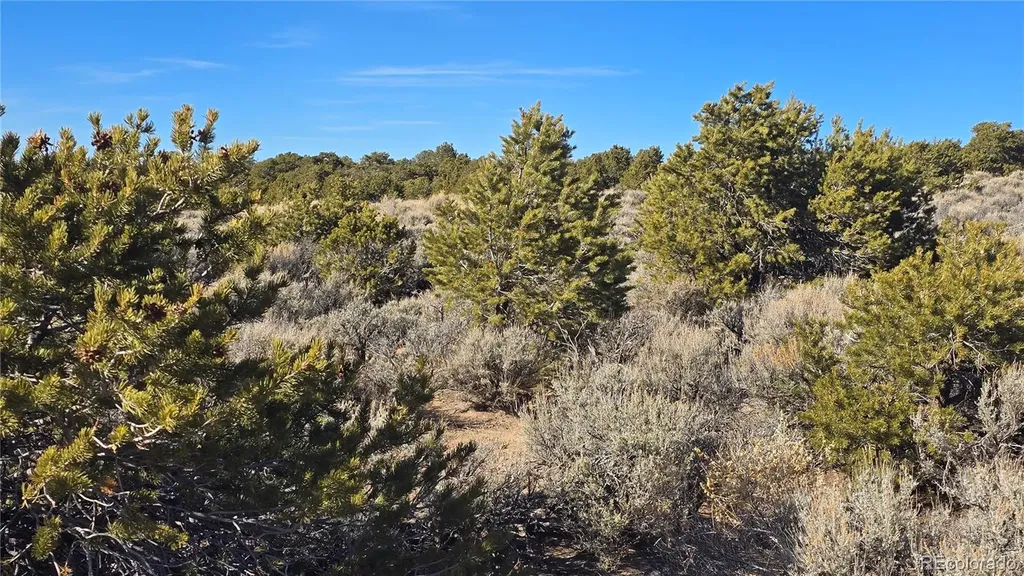 Lot 1075 Sylvia Road Fort Garland CO 81133