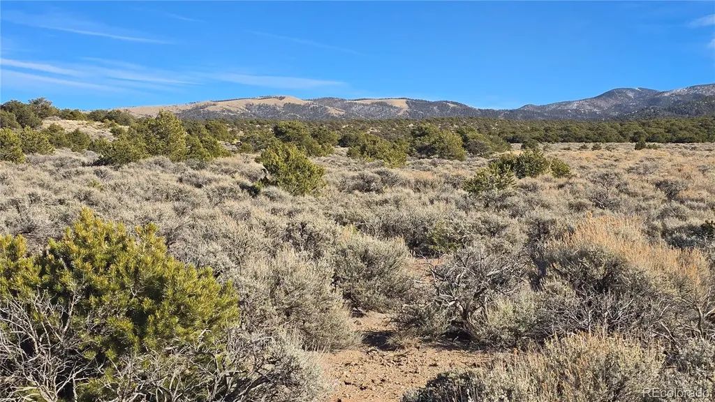 Lot 1075 Sylvia Road Fort Garland CO 81133