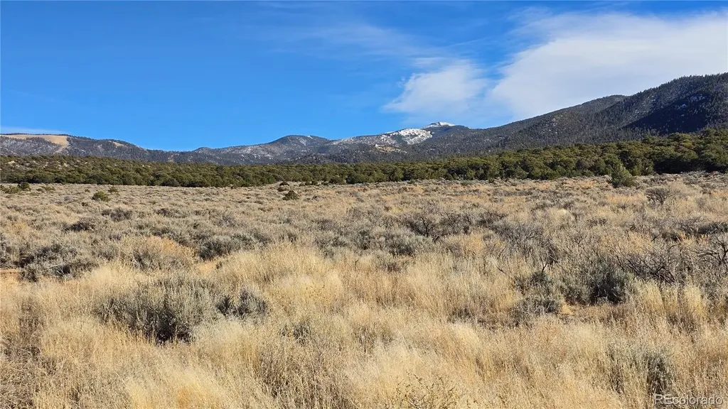 Lot 1075 Sylvia Road Fort Garland CO 81133