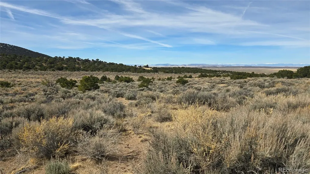 Lot 1075 Sylvia Road Fort Garland CO 81133