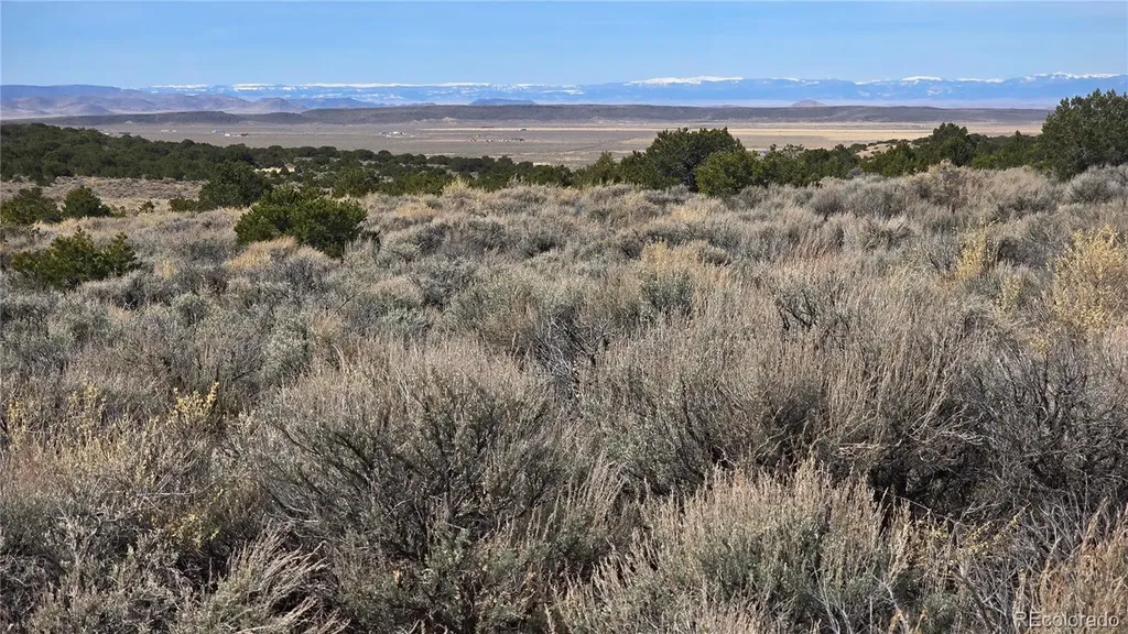 Lot 1075 Sylvia Road Fort Garland CO 81133
