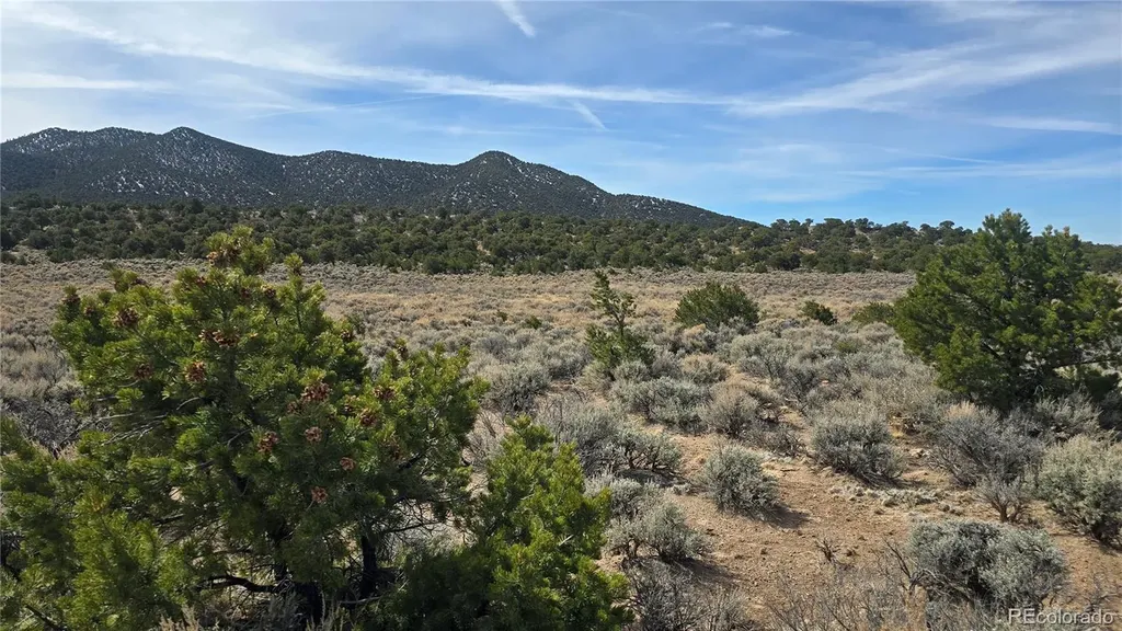 Lot 1075 Sylvia Road Fort Garland CO 81133