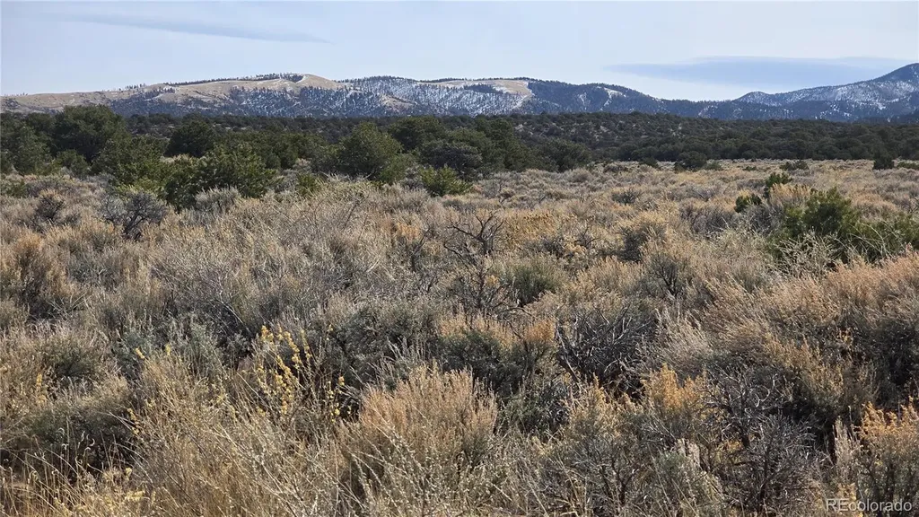 Lot 1075 Sylvia Road Fort Garland CO 81133