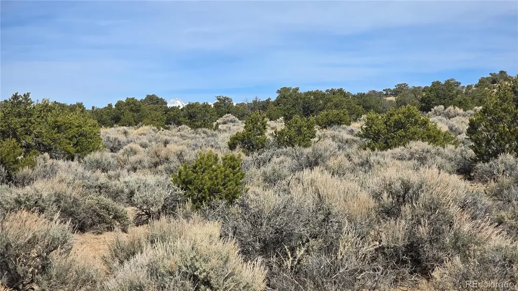 Lot 1075 Sylvia Road Fort Garland CO 81133