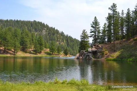 16335 Rustlers Range Point Monument CO 80132