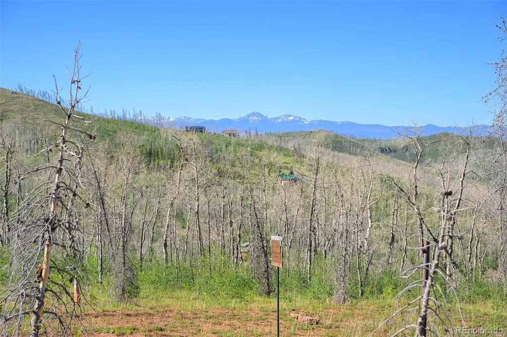 463 County Road 414 Granby CO 80446