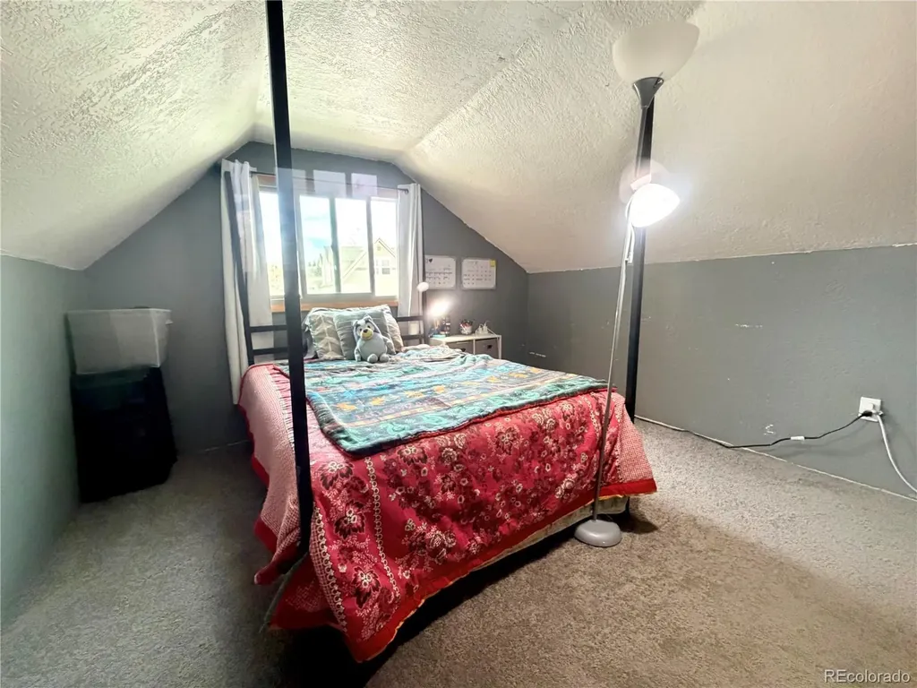 413 W 3rd Street Leadville CO 80461