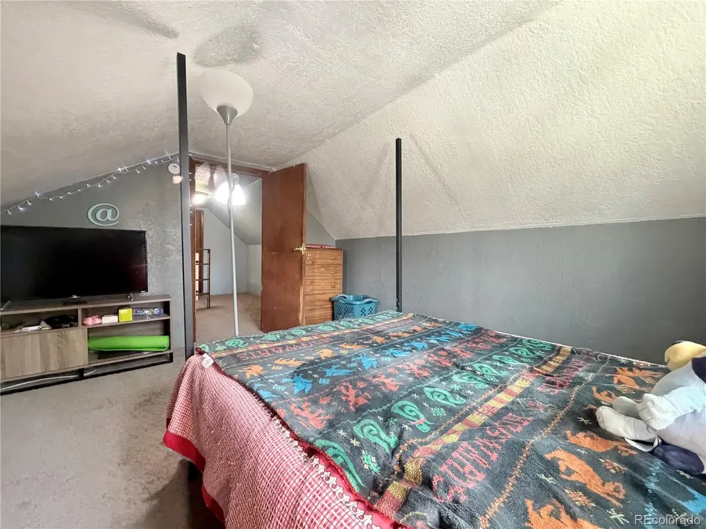 413 W 3rd Street Leadville CO 80461
