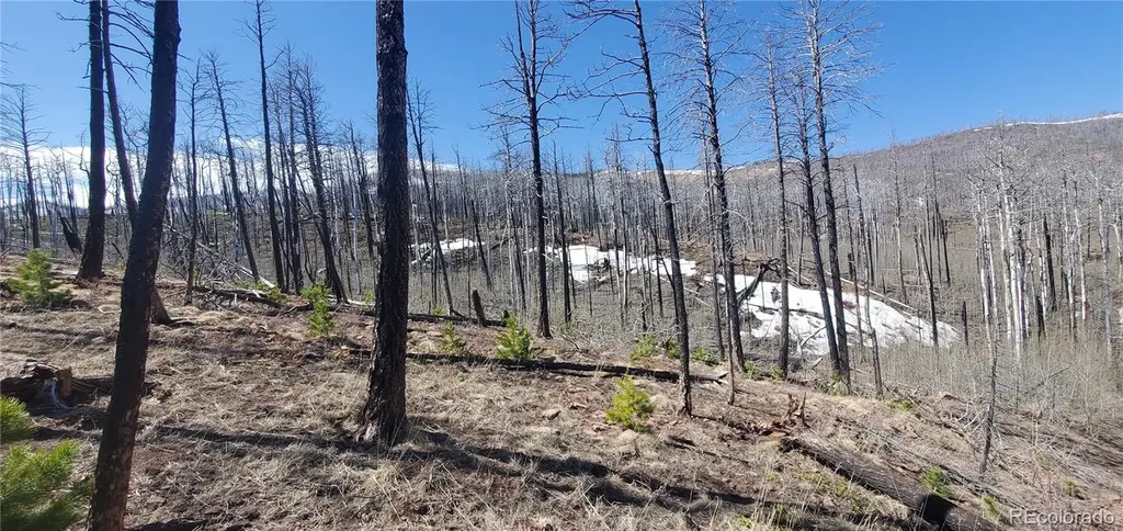 Lot's 854,855 Slaoui Place Fort Garland CO 81133