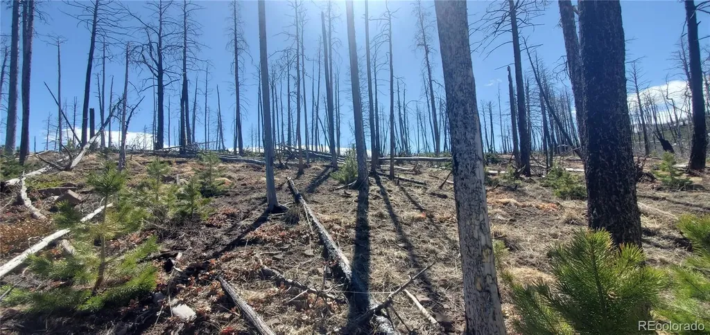 Lot's 854,855 Slaoui Place Fort Garland CO 81133