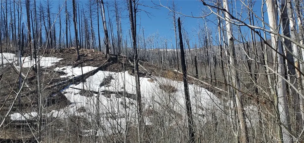 Lot's 854,855 Slaoui Place Fort Garland CO 81133