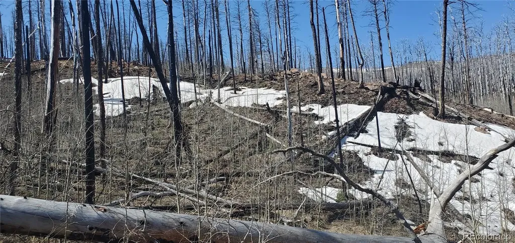 Lot's 854,855 Slaoui Place Fort Garland CO 81133