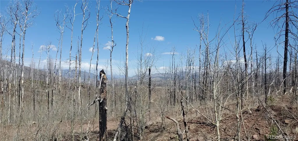 Lot's 854,855 Slaoui Place Fort Garland CO 81133