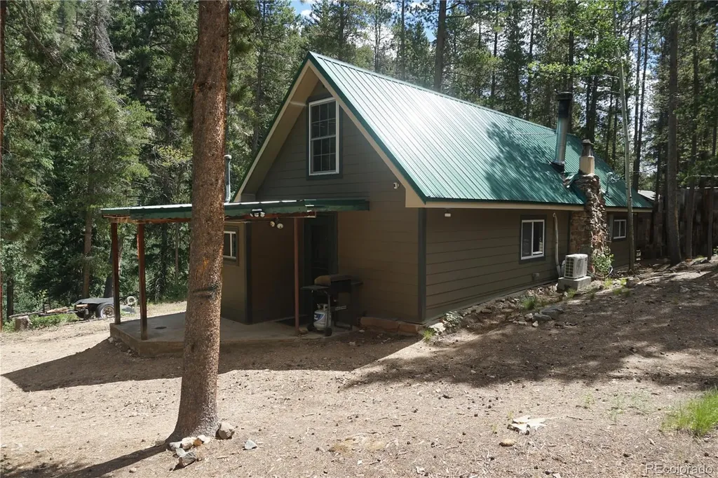 7823 County Road 43 Bailey CO 80421