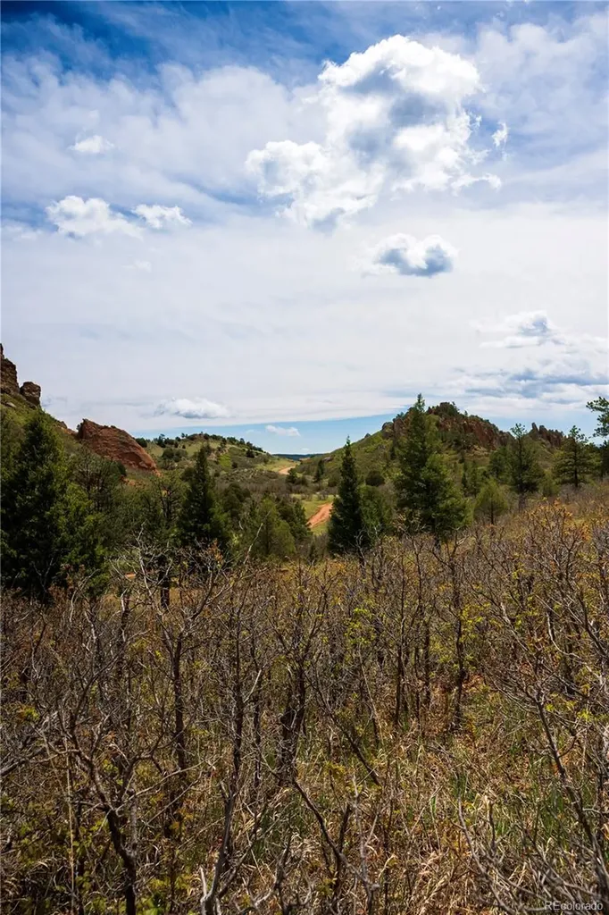 6128 Columbine Court Larkspur CO 80118