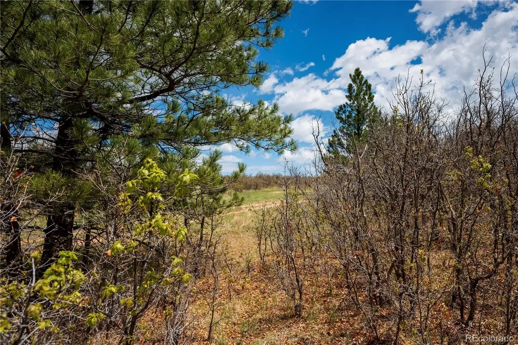 6128 Columbine Court Larkspur CO 80118