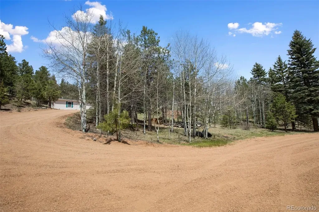 1011 W Bison Creek Trail Divide CO 80814