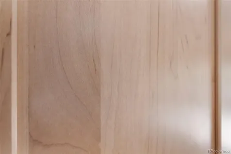 751 Rendezvous Way Crestone CO 81131