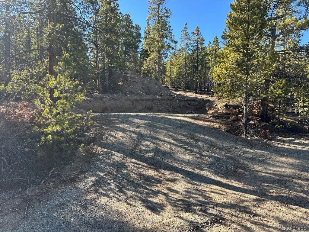48 Lodgepole Drive Leadville CO 80461