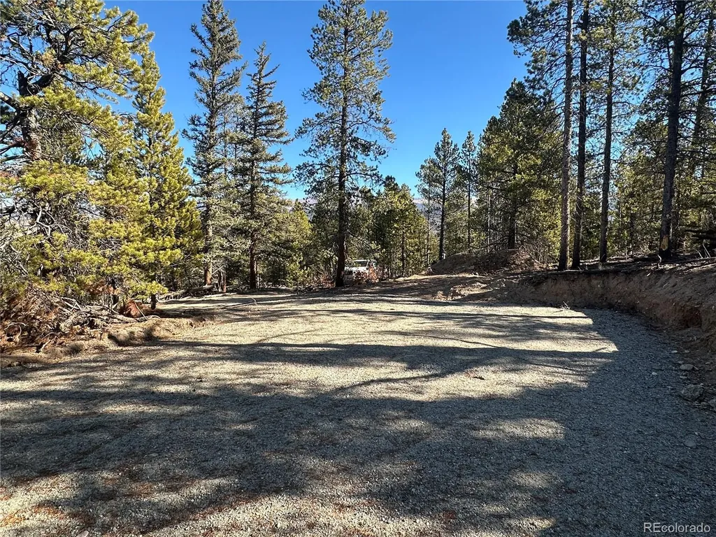 48 Lodgepole Drive Leadville CO 80461