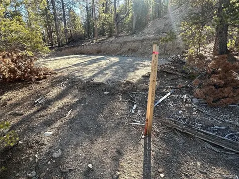 48 Lodgepole Drive Leadville CO 80461
