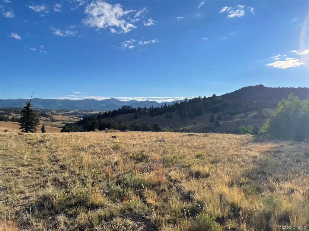 66 Chestnut Lane Como CO 80432